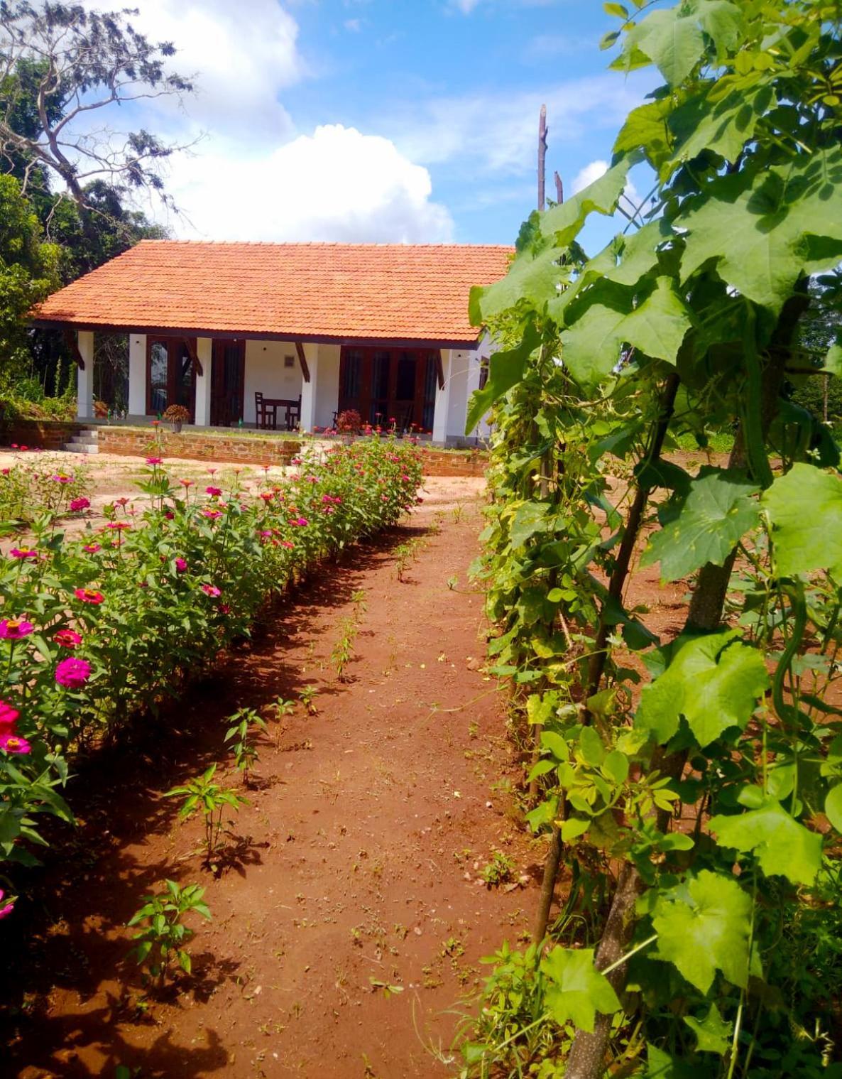 Moni Farm House Wilpattu Nochchiyagama Exterior foto